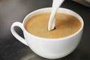 Cafe Au Lait